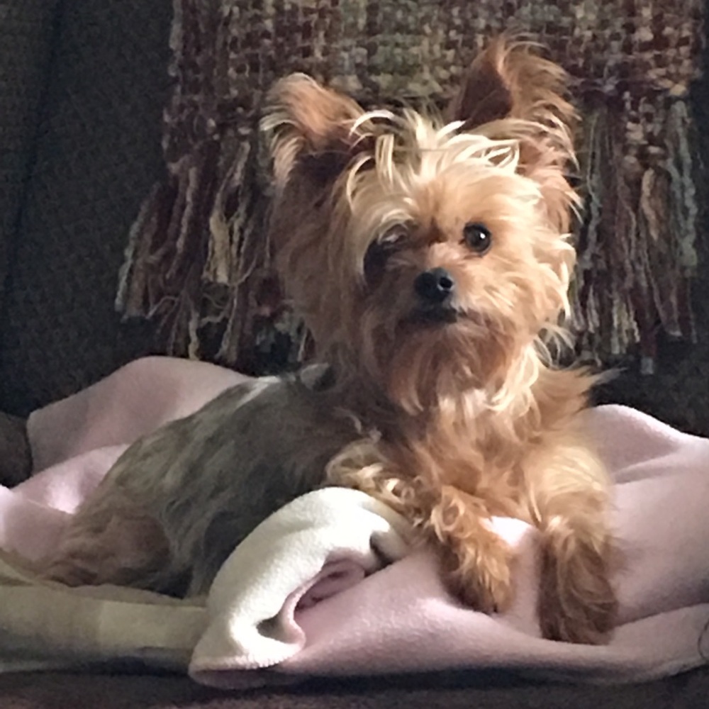 Just waitin- for you to make an offer!